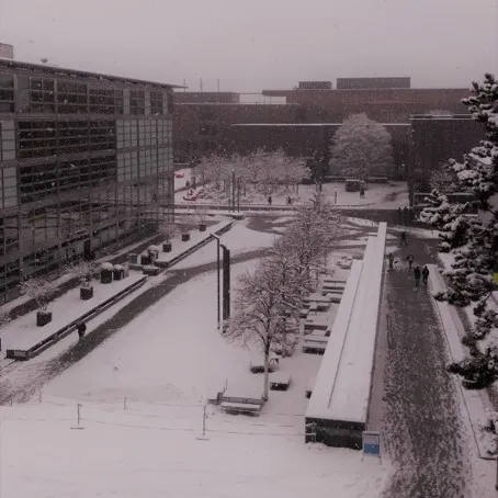 輕津海峽冬景色
