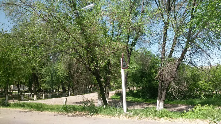 漆成白色的樹幹