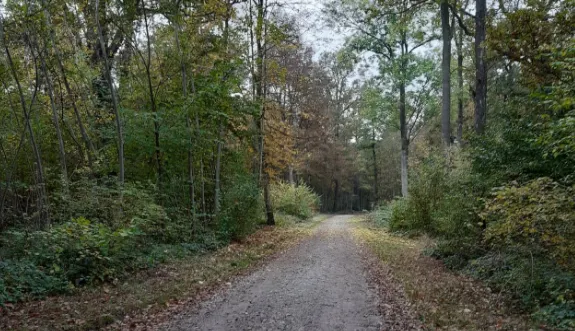 《蓋茲之道：疑難解法》我們不一樣，但也沒那麼不一樣