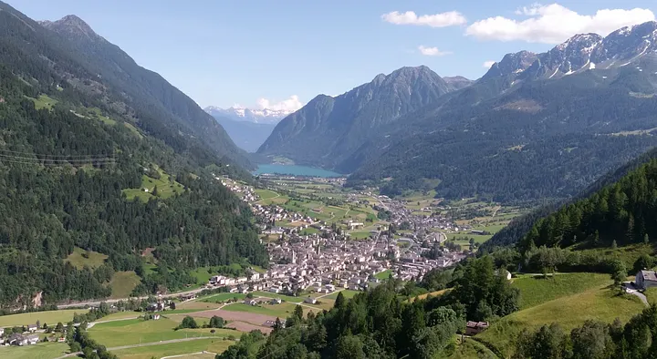 瑞士三寶入門簡介