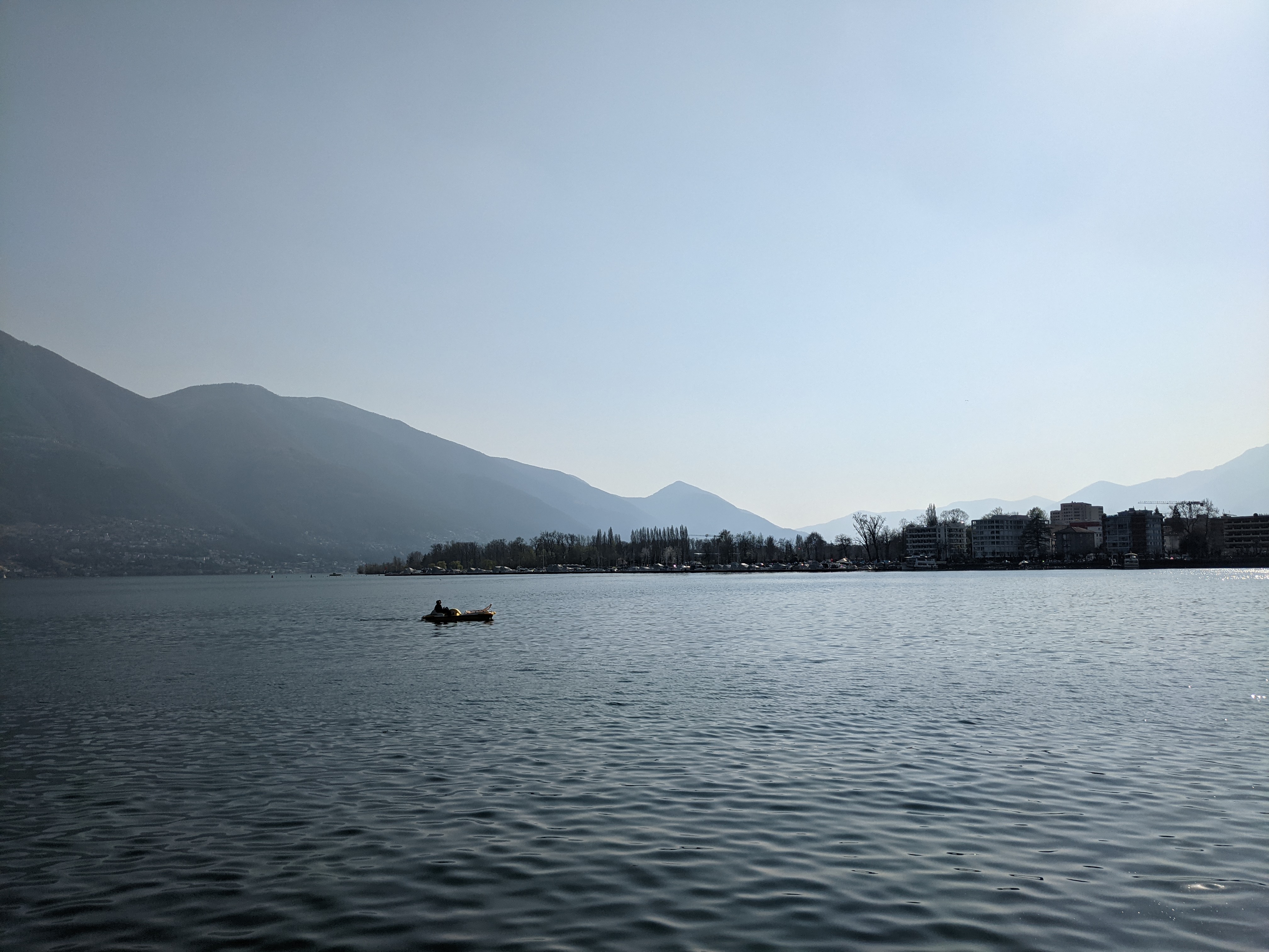 每天仔細觀察運動