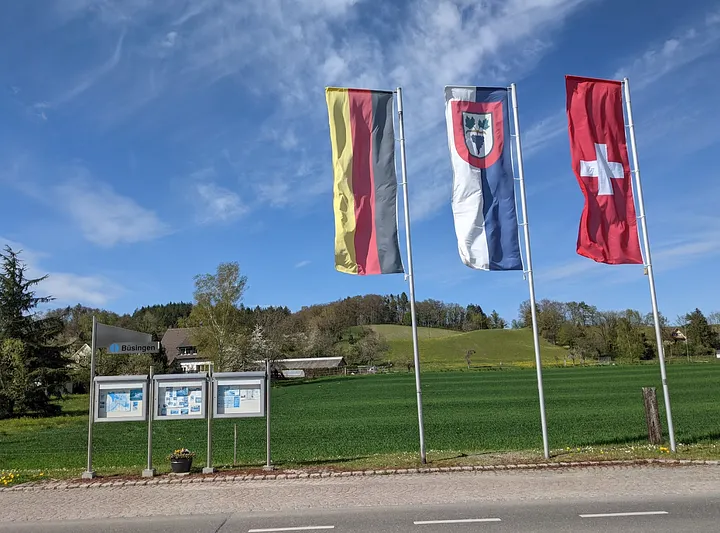 安能辨我在瑞士德國