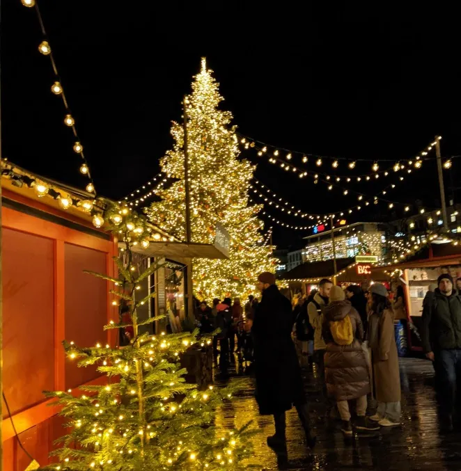 《伊凡‧伊里奇之死》一輩子有多厚？