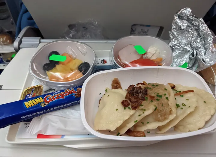 華沙飛東京，有波蘭餃子 Pierogi ，有加很像油蔥酥的東西