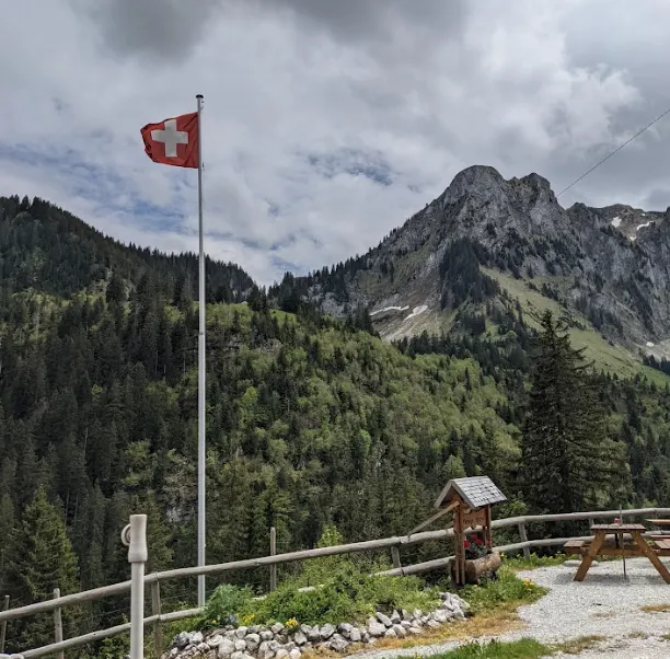 追根究柢的精神